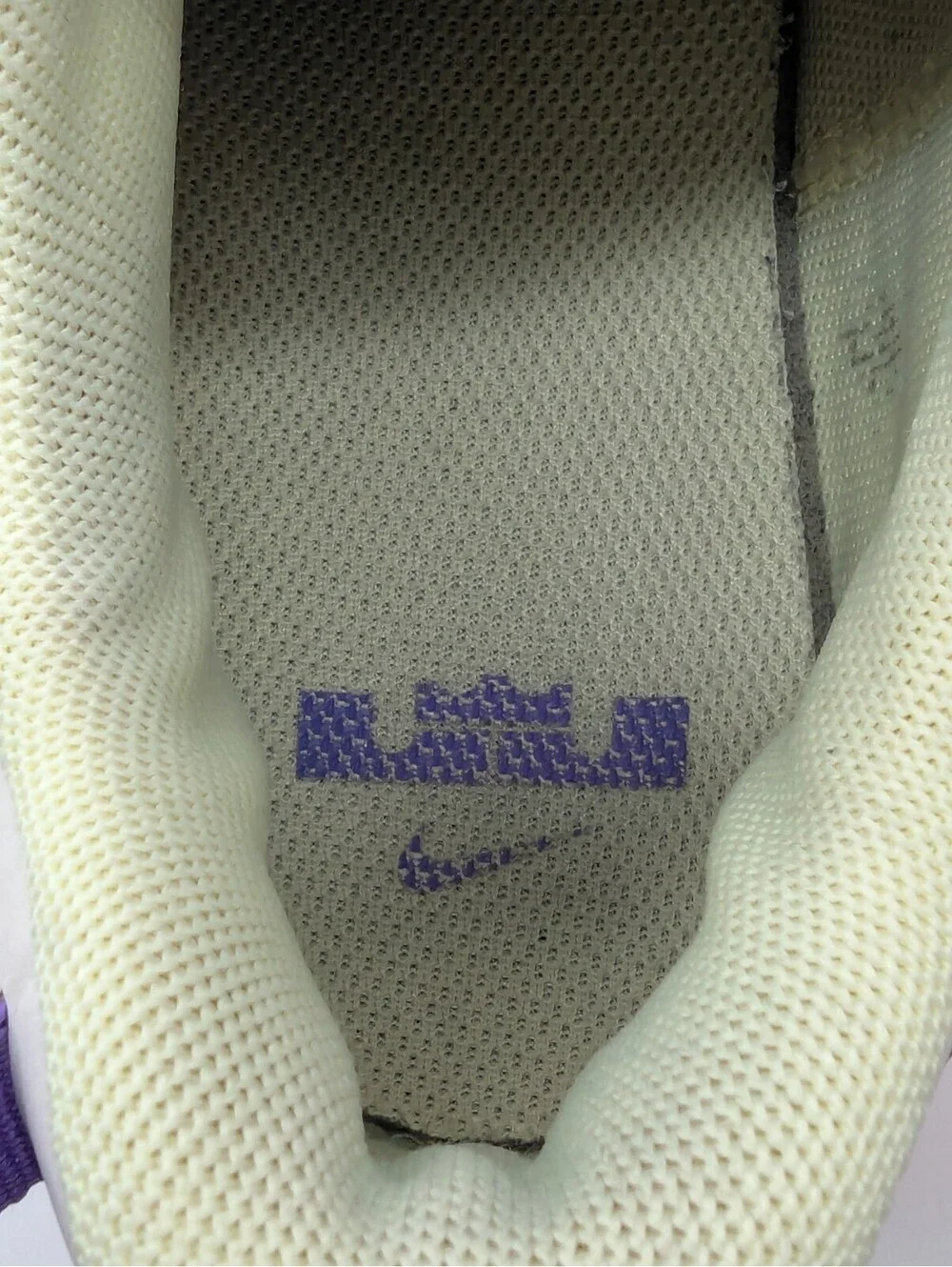 Nike LeBron Witness 7 Action Grape Purple Kids Size 6Y / Women's 7.5 DQ8650-101